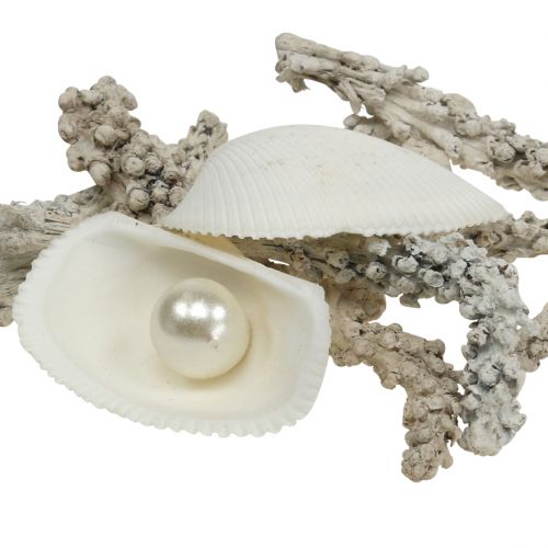 Article Mélange de coquillages avec perle et bois blanc 200g
