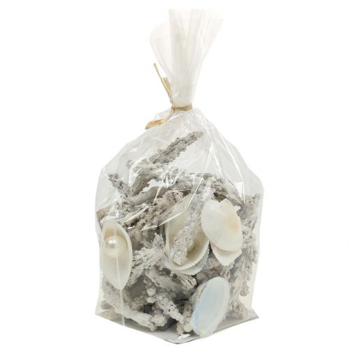 Floristik24 Mélange de coquillages avec perle et bois blanc 200g