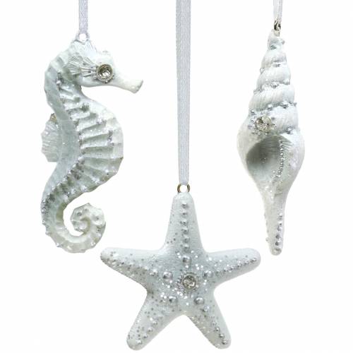 Floristik24 Coquillage/étoile de mer/hippocampe à suspendre 3 pcs