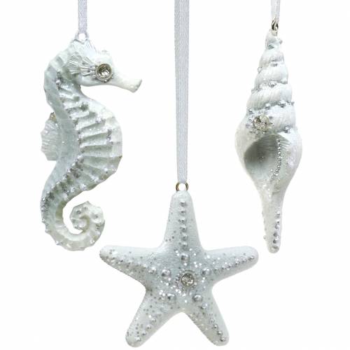 Floristik24 Coquille / étoile de mer / hippocampe pour suspendre 3pcs