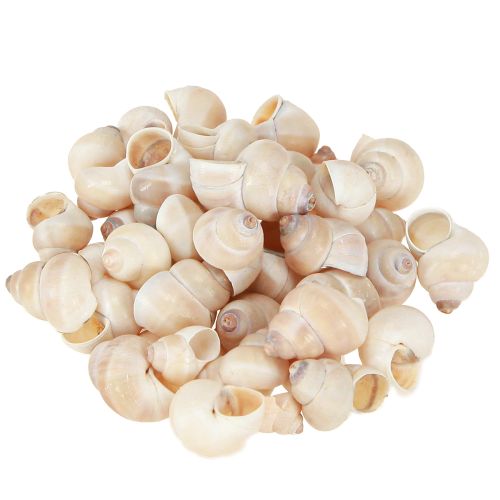 Floristik24 Moule Umachi 500g