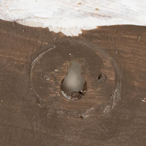 Article Pot décoratif en forme d'escargot pour une décoration murale marine et naturelle, gris, 21 cm