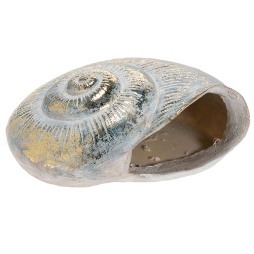 Article Pot décoratif en forme d'escargot pour une décoration murale marine et naturelle, gris, 21 cm