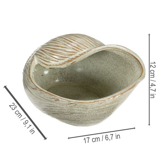 Article Bol en céramique à motif coquillage pour une décoration élégante dans le salon, 23 cm