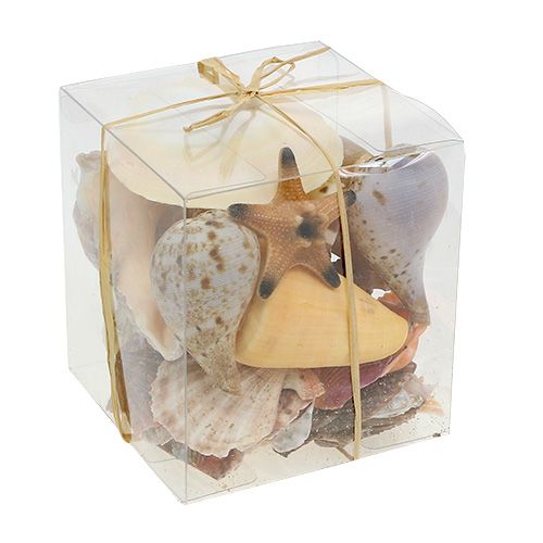 Floristik24 Mélange de coquillages dans une boîte naturelle 380g
