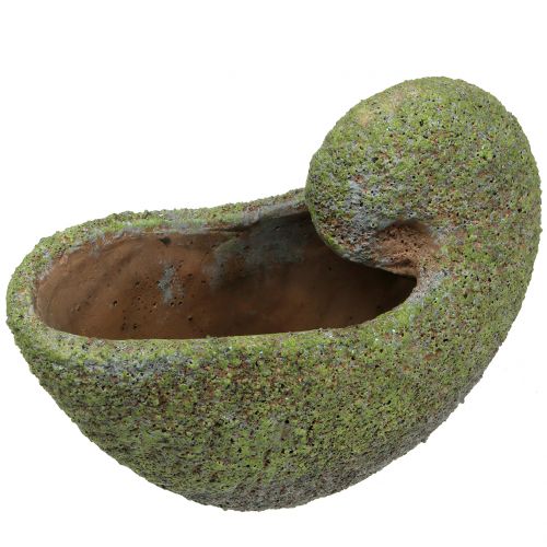 Floristik24 Moules à planter avec de la mousse 28,5cm x 14cm H21cm