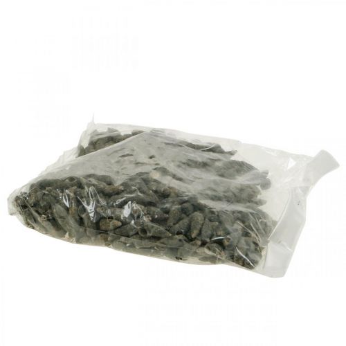 Article Objets naturels, coquilles d&#39;escargot naturelles 6–10 mm, décorations marines 1 kg
