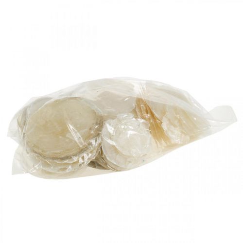 Article Décoration de plage, coquillages capiz 5-10cm, éléments naturels, nacre, maritime 1kg