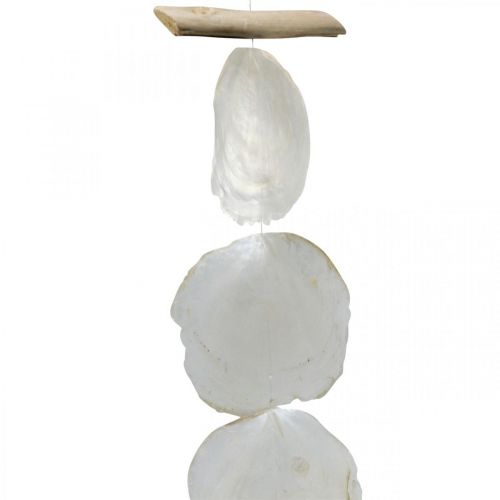 Floristik24 Guirlande Coquillages Nacre Guirlande Coquillages Capiz 195cm