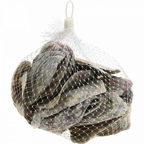 Article Décoration maritime, coquillages Capiz, objets naturels nacre, violette 8–14cm 1kg