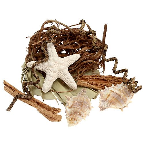 Floristik24 Mélange de coquillages et d'étoiles de mer pour l'artisanat 150g
