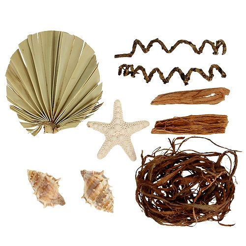 Floristik24 Mélange de coquillages et d'étoiles de mer pour l'artisanat 150g