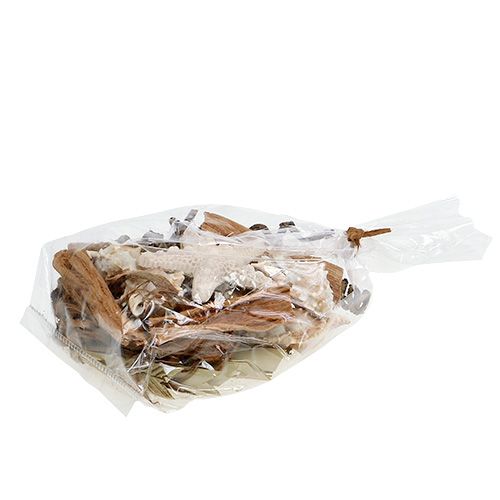 Floristik24 Mélange de coquillages et d'étoiles de mer pour l'artisanat 150g