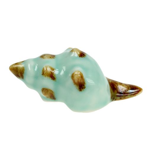 Floristik24 Sorte de coquille de porcelaine. 9.5 cm 2 pièces