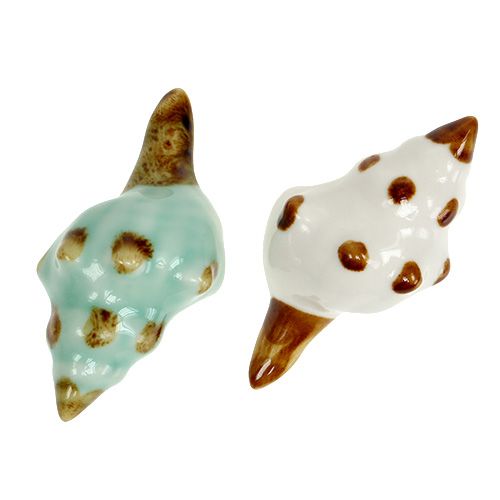 Floristik24 Sorte de coquille de porcelaine. 9.5 cm 2 pièces