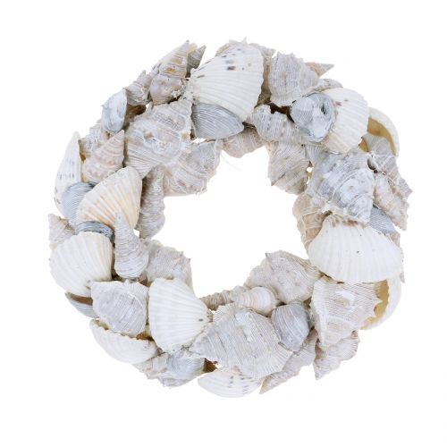 Floristik24 Couronne coquillage blanc Ø14cm