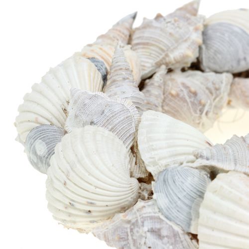 Floristik24 Couronne coquillage blanc Ø14cm