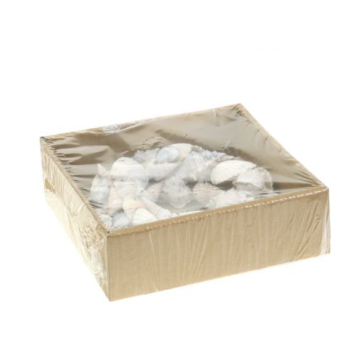 Floristik24 Couronne coquillage blanc Ø14cm