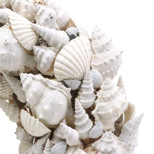 Floristik24 Couronne coquillage blanc Ø30cm