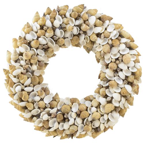 Floristik24 Couronne de coquillages escargots de mer blanc naturel Ø35cm