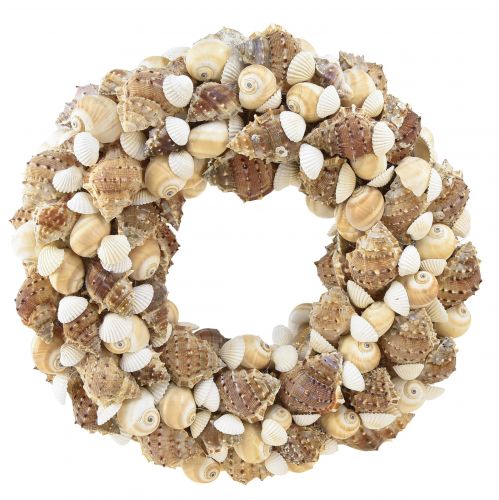 Floristik24 Couronne de coquillages couronne d&#39;escargot à suspendre noix de coco naturelle Ø25cm