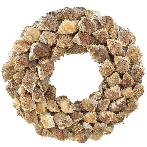 Floristik24 Couronne de coquillages décoration murale couronne décorative naturelle à suspendre Ø35cm