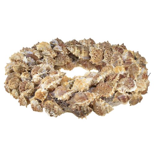 Article Couronne de coquillages décoration murale couronne décorative naturelle à suspendre Ø35cm