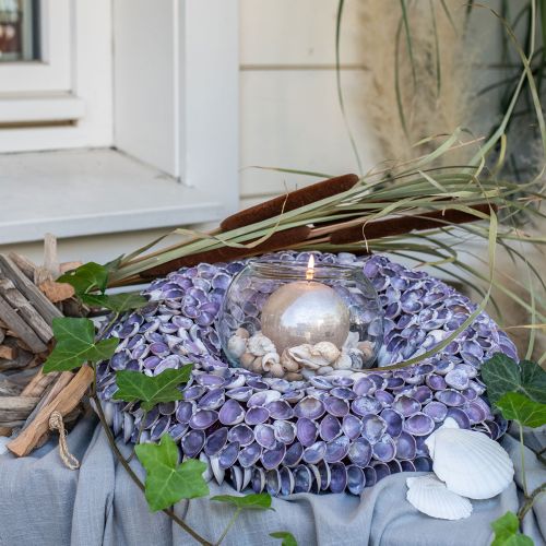 Floristik24 Couronne de coquillages, coquillages naturels, chippy violet, couronne de mer Ø40cm