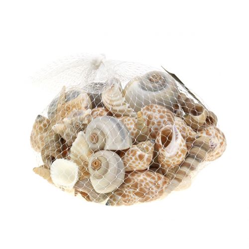 Floristik24 Mélange de coquille naturel 500g