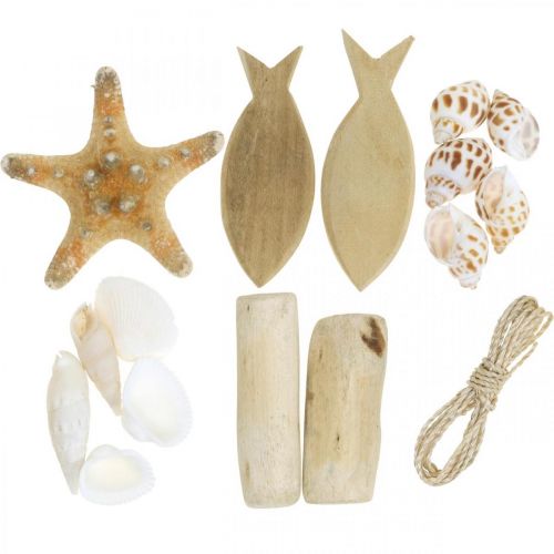 Floristik24 DIY-Box Maritime Set de déco en bois coquillages naturels assortis
