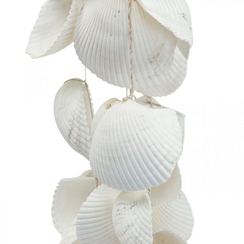 Floristik24 Guirlande de coquillages Décoration maritime guirlande de coquillages L87cm