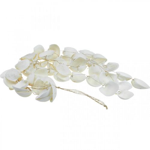 Floristik24 Guirlande de coquillages Décoration maritime guirlande de coquillages L87cm