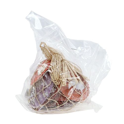 Floristik24 Mélange de coquillages en filet 200 g