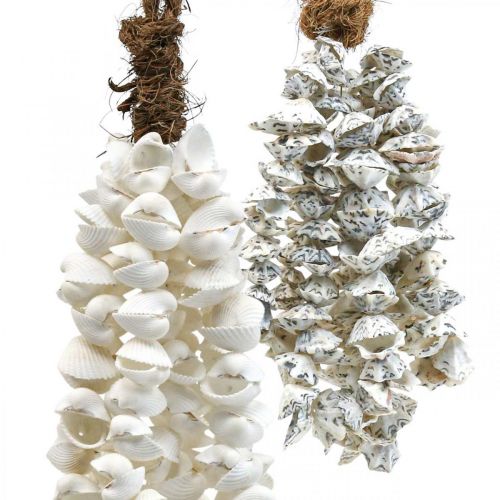 Floristik24 Collier coquillage coquillage pendentif coquillage déco maritime 2pcs