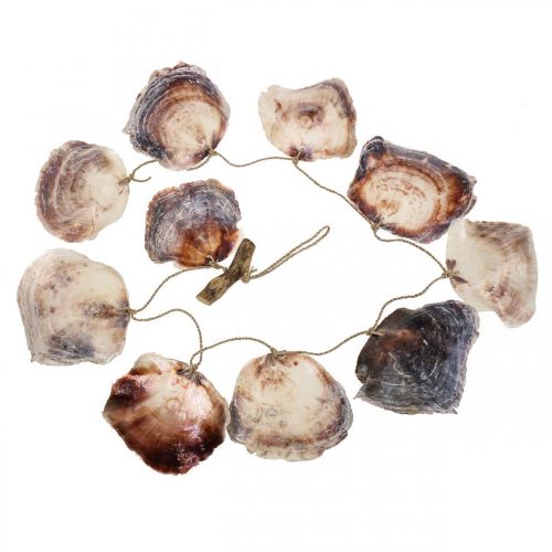 Article Guirlande de coquillages Décoration maritime guirlande de coquillages 150cm