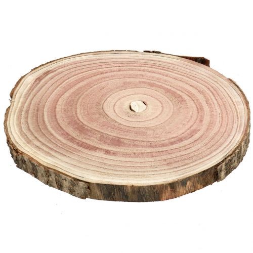 Floristik24 Tranche d'arbre jacinthe des bois naturel Ø20-24cm 1 pc