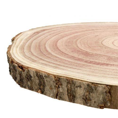Floristik24 Tranche d'arbre jacinthe des bois naturel Ø20-24cm 1 pc