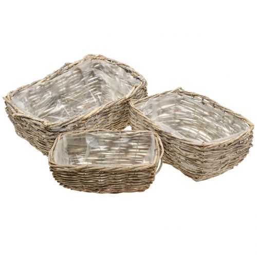 Floristik24 Panier à plantes rectangulaire naturel blanchi à la chaux L33cm, lot de 3