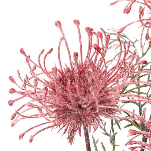 Coussin à épingles en forme de branche de protéa artificielle de 65 cm (lot de 3) | Floristik24.be