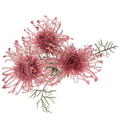 Coussin à épingles en forme de branche de protéa artificielle de 65 cm (lot de 3) | Floristik24.be