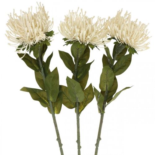 Article Coussin à épingles fleurs artificielles exotiques Protea Leucospermum crème 73cm 3pcs