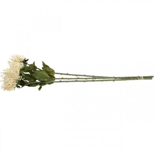 Article Coussin à épingles fleurs artificielles exotiques Protea Leucospermum crème 73cm 3pcs