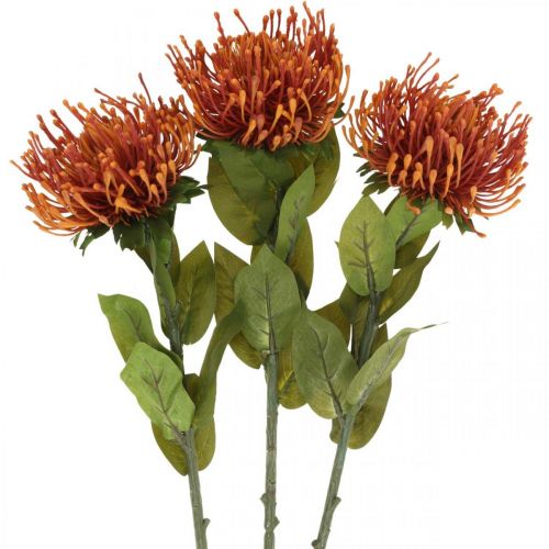 Article Pincushion Fleur Artificielle Exotique Orange Leucospermum Protea 73cm 3pcs