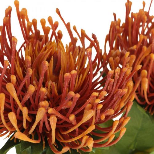 Article Pincushion Fleur Artificielle Exotique Orange Leucospermum Protea 73cm 3pcs