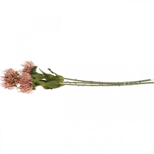 Article Coussin à épingles fleur d&#39;automne artificielle Protea Rosa Leucospermum 73cm 3pcs