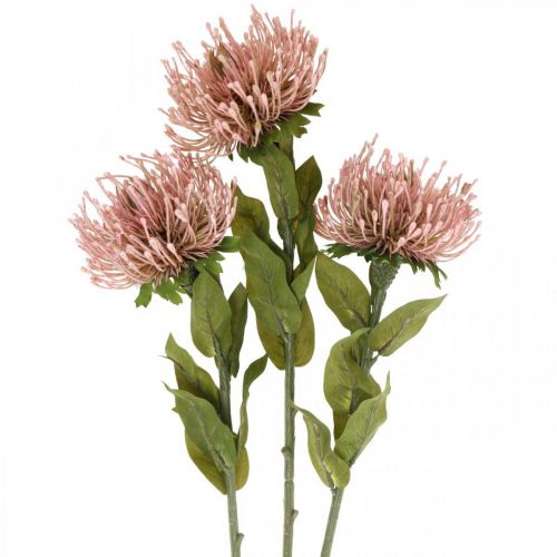 Article Coussin à épingles fleur d&#39;automne artificielle Protea Rosa Leucospermum 73cm 3pcs
