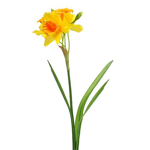 Floristik24 Narcisse jaune L. 40 cm