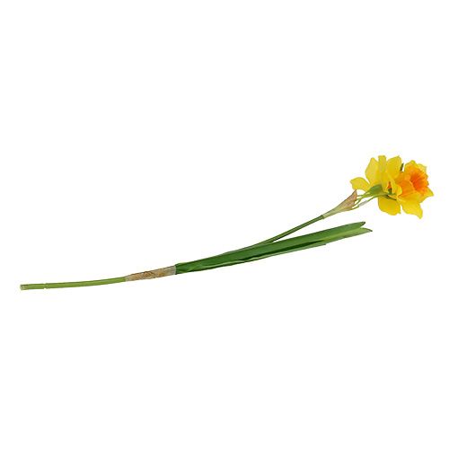 Floristik24 Narcisse jaune L. 40 cm
