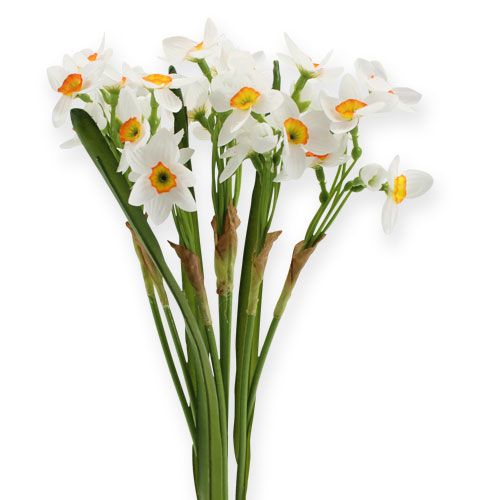 Floristik24 Bouquet blanc de narcisses 35 cm 3 p.