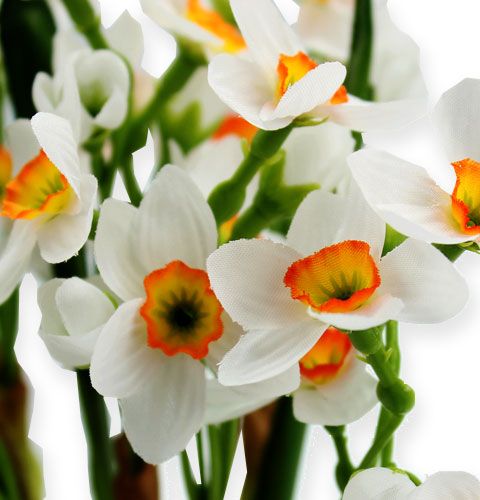 Floristik24 Bouquet blanc de narcisses 35 cm 3 p.